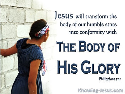 Philippians 3:21 The Body Of His Glory (navy)